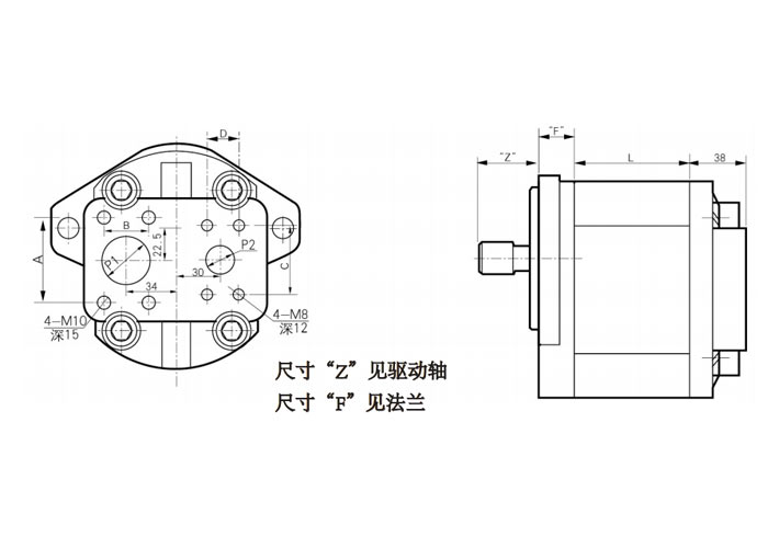 CB-HD-单联齿轮泵-尺寸2.jpg