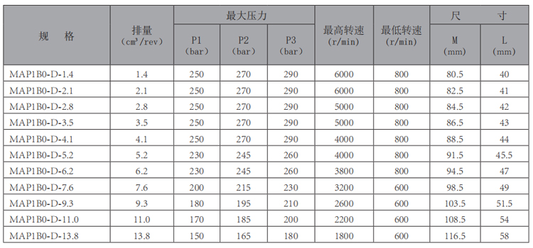 MAP1B0-齿轮泵-型号.jpg